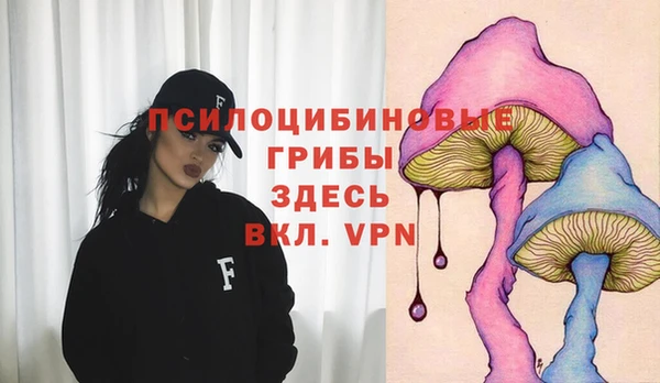 сатива Саяногорск