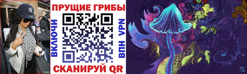 где продают   Боровск  Галлюциногенные грибы Magic Shrooms 
